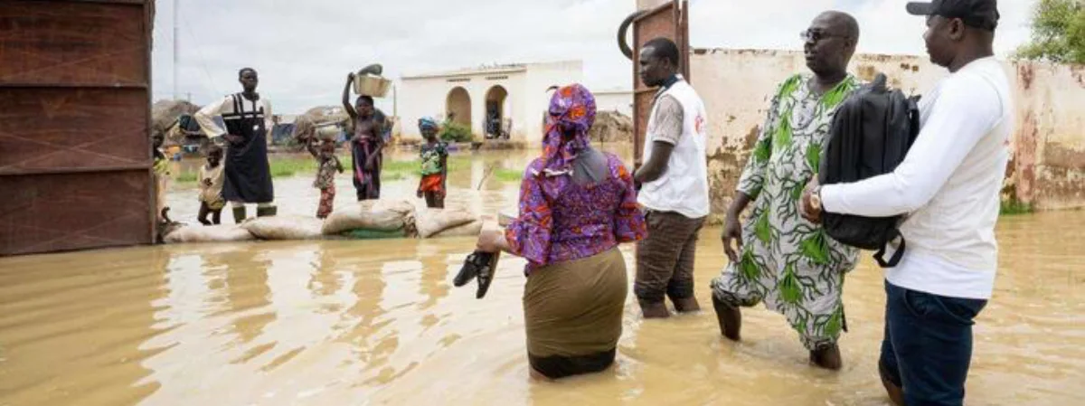 Mali floods